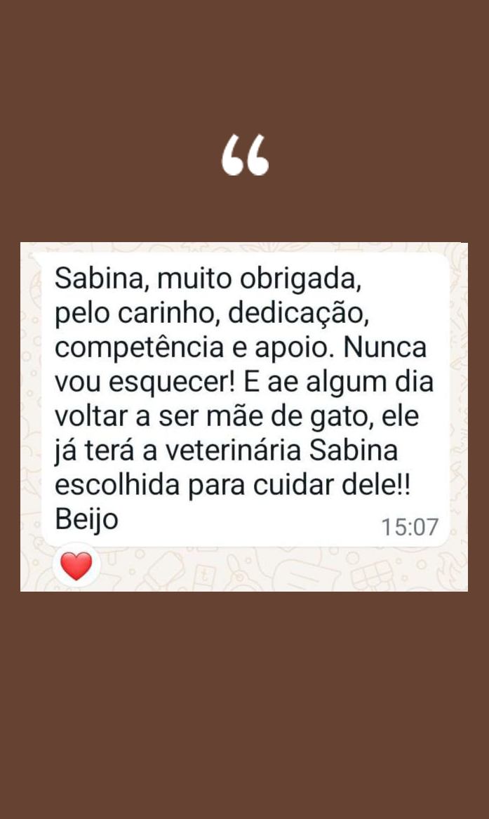 testmundo003